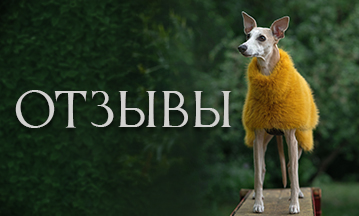 otzv.jpg