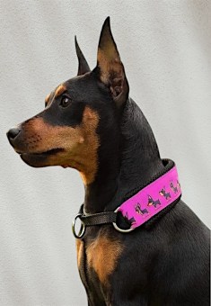 amy1001